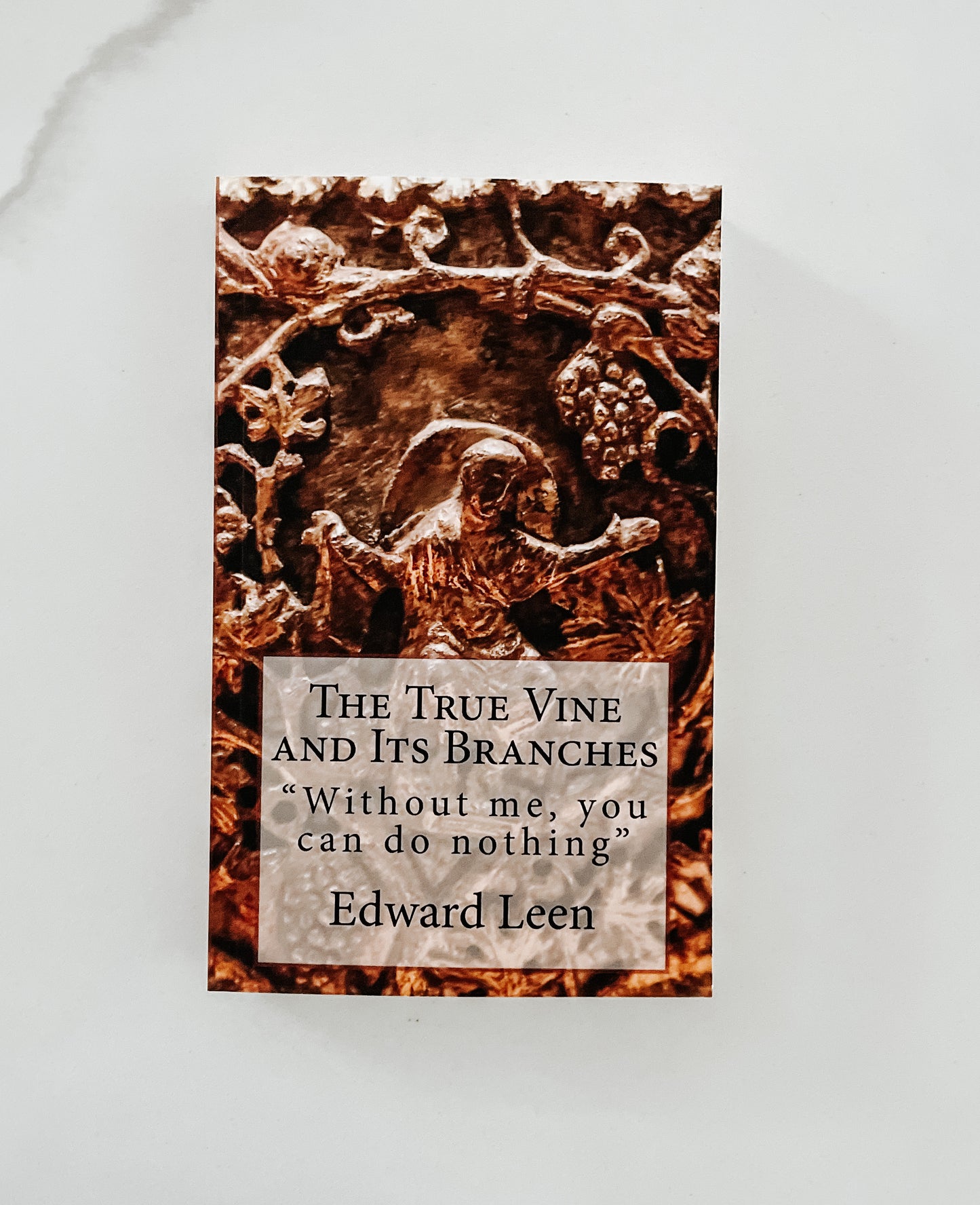 The True Vine and Its Branches